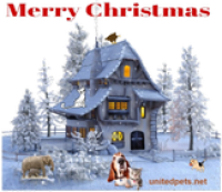 a christmas greeting